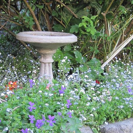 Brook House B&B & Cottages Καϊκούρα Εξωτερικό φωτογραφία
